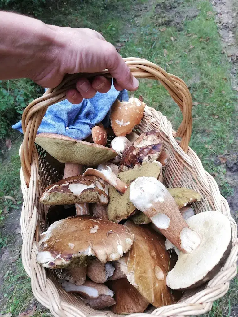 Bocaux de Liens_Périgord_slider_image_2