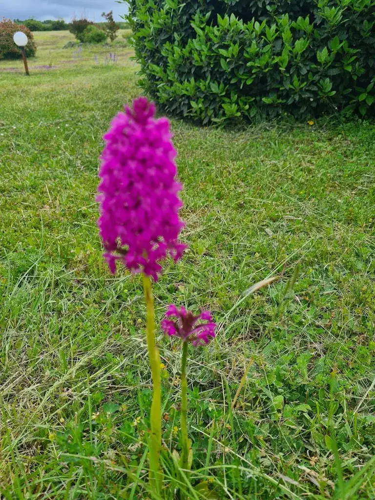 Howard Green_LE GERGOVIE RESTAURANT BAR_Périgord_review