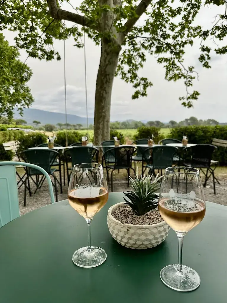 Simon B_Le Mézé des Demoiselles_Motte_review