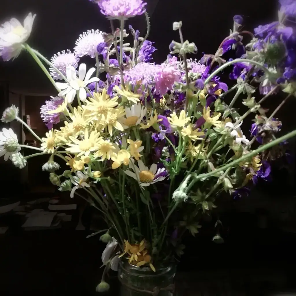 Nommad's - Bistro à Bourdeilles_Bourdeilles_slider_image_3