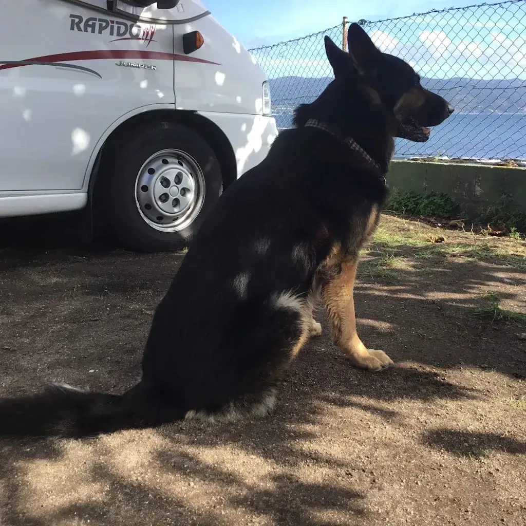 Michelle Waudby_LE RANCH_Brioux-sur-Boutonne_avis