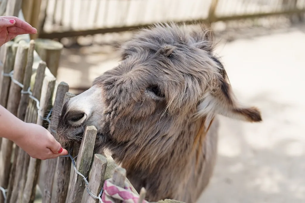 La Ferme de Magné_Sainte-Gemme_slider_image_3