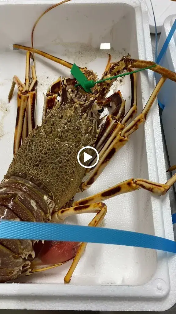 L'Instant Basque_Brive-la-Gaillarde_slider_image_2