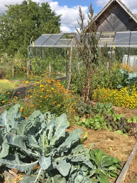 Jardin-restaurant bio-écologique UTOPAILLE_Celle-Dunoise_slider_image_2