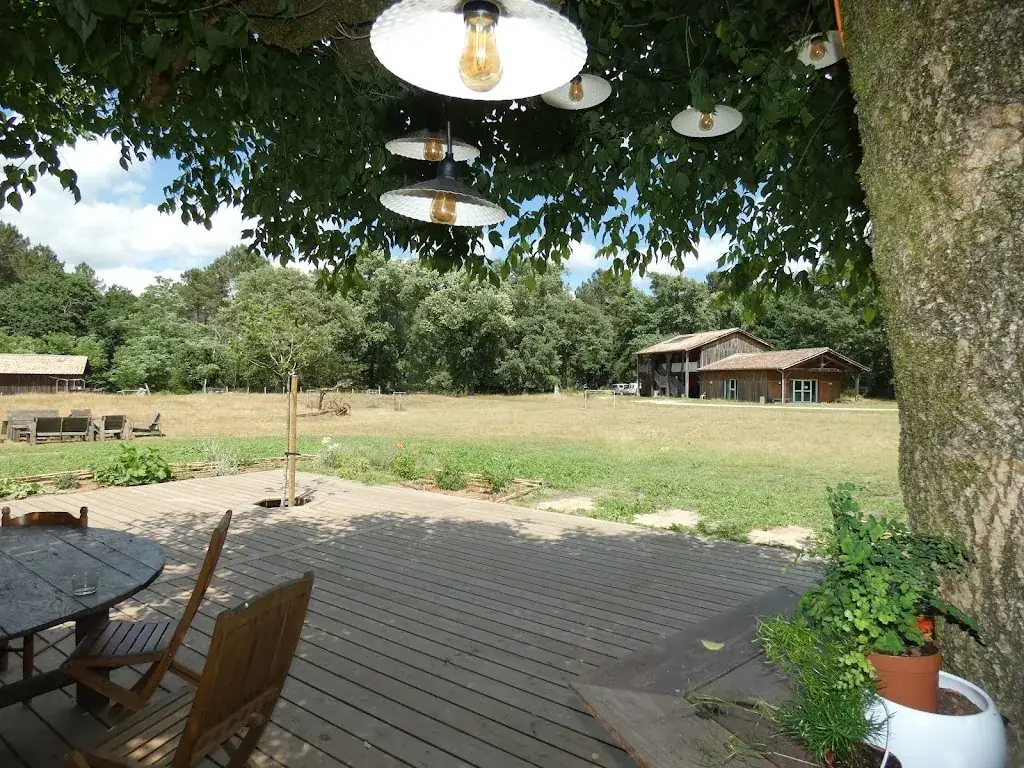 La terrasse de la ferme_Captieux_slider_image_1