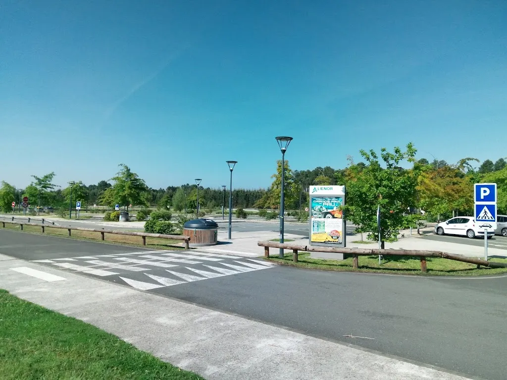 Mario Fortuna_Sig Rest_Captieux_review