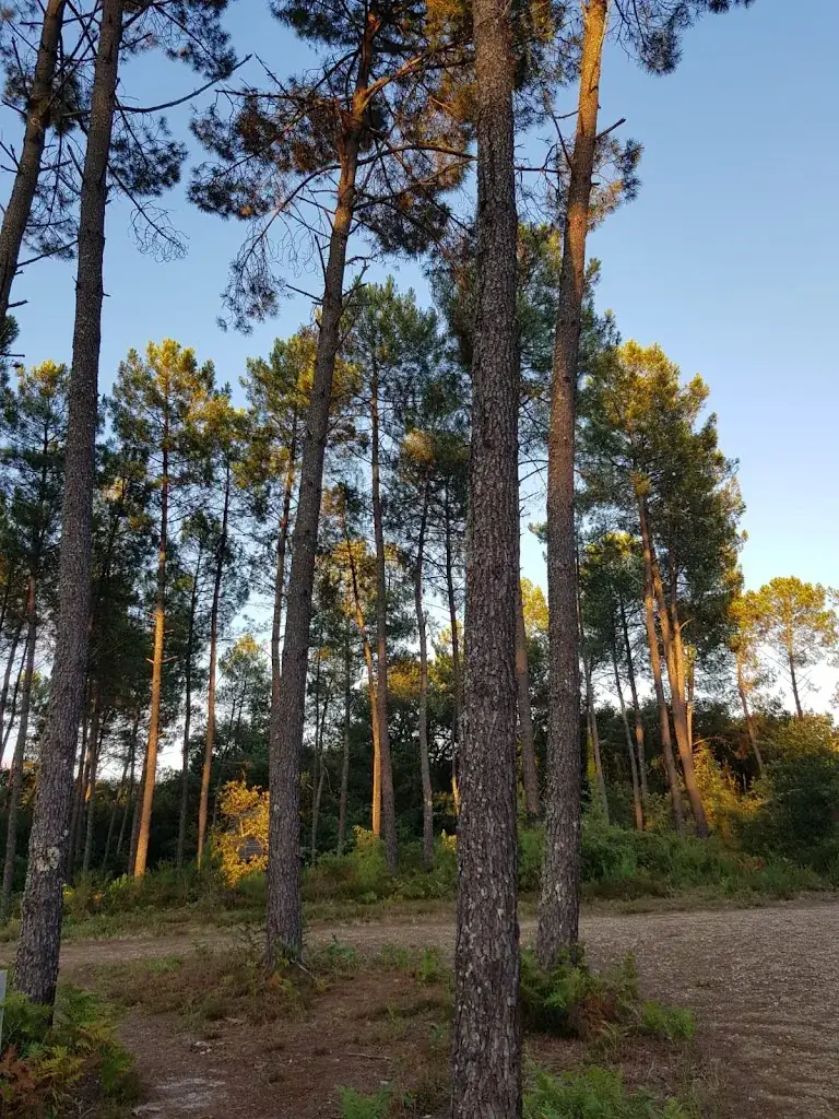 Hannah Martin_Cap Cabane_Captieux_review