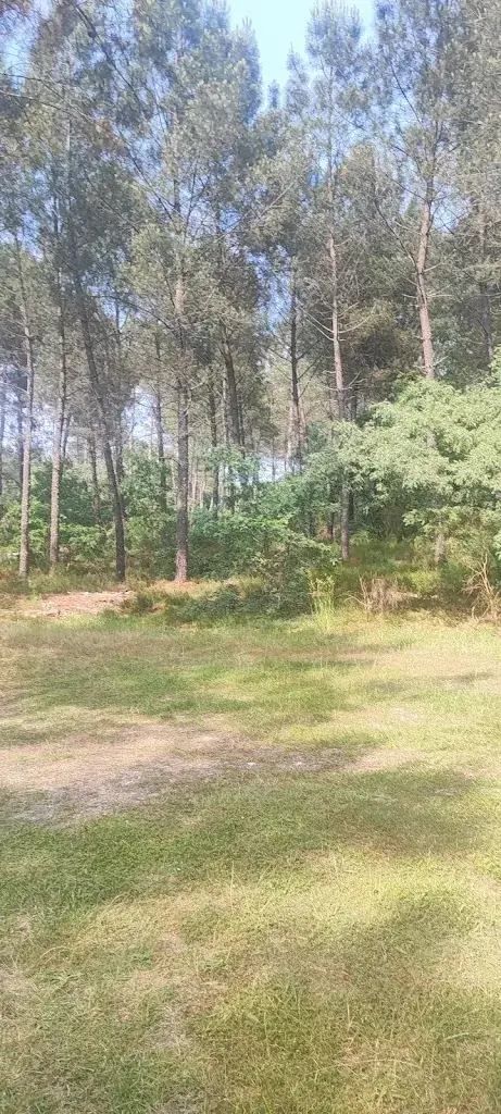 Sophie PINTO_Cap Cabane_Captieux_review