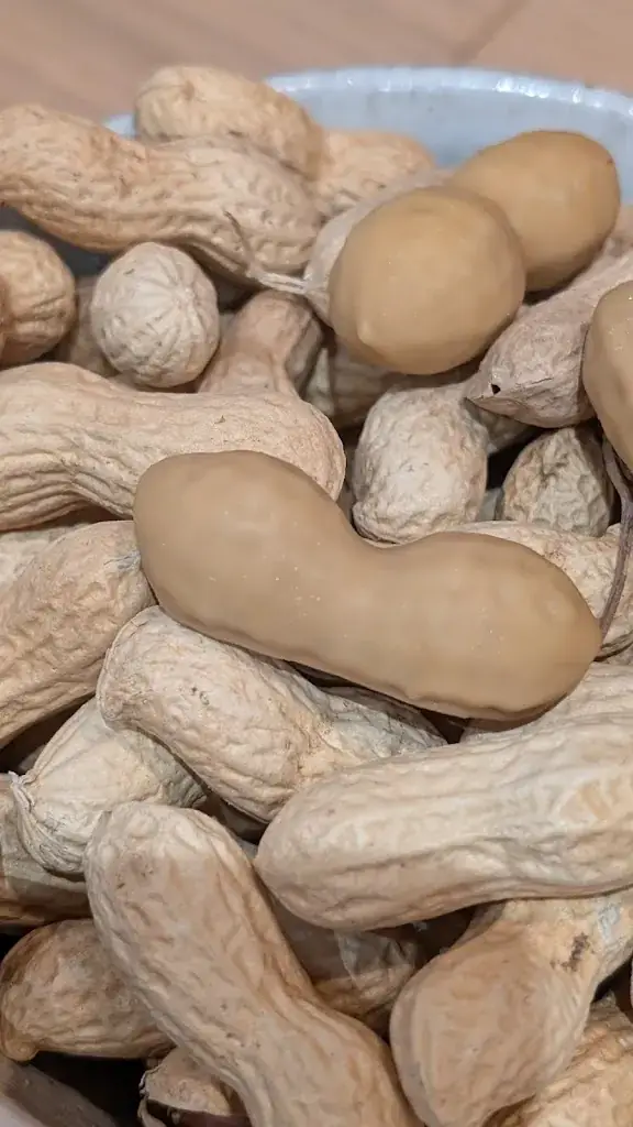 evelyne levillain_Restaurant Terrae_Cambo-les-Bains_review