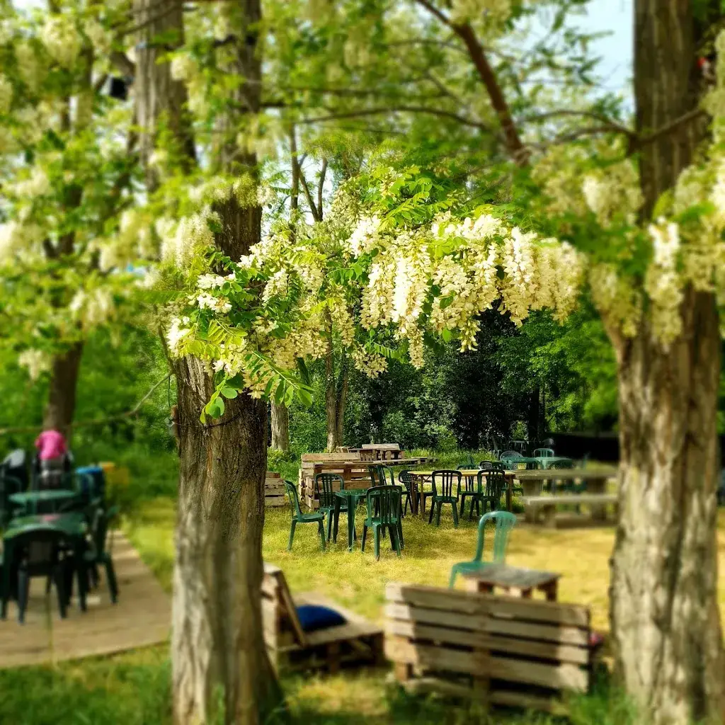 La guinguette de Aouste_Aouste-sur-Sye_slider_image_3