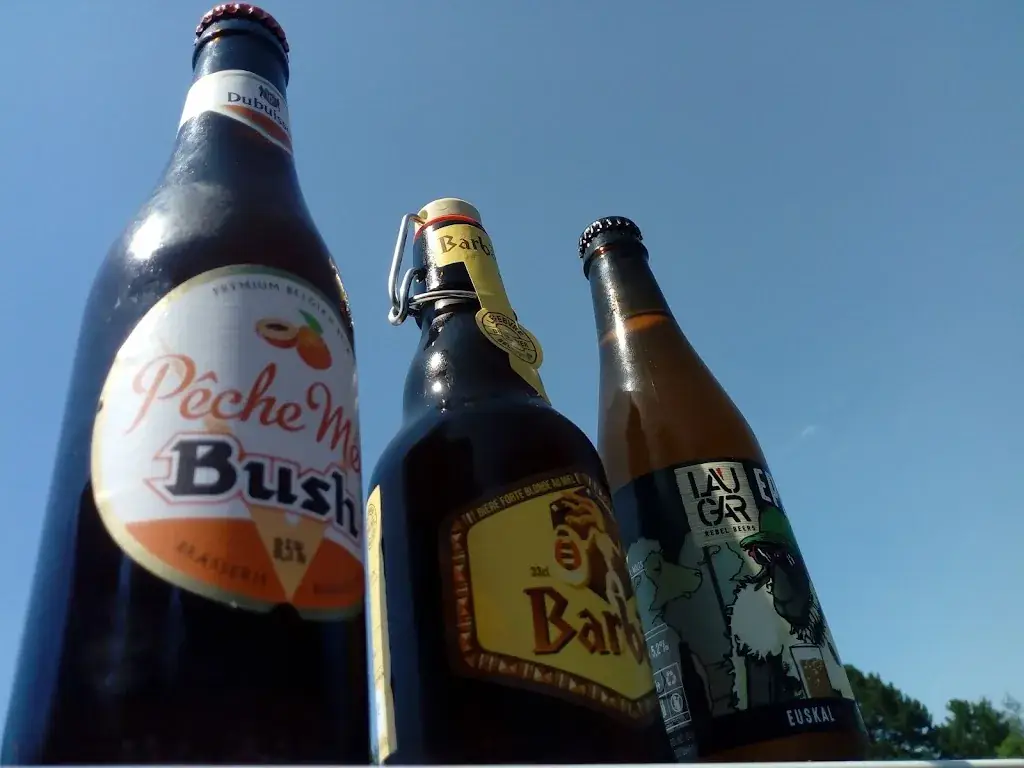 Menu_H2BIERE_Cambo-les-Bains_image_8