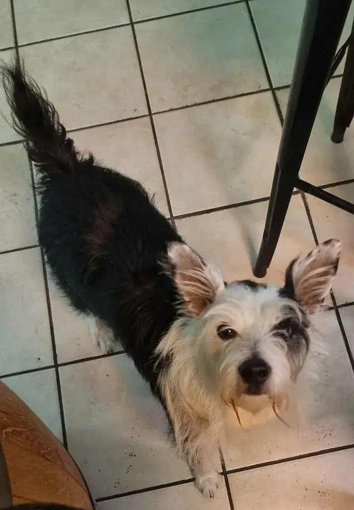 Isabelle Andrieu_H2BIERE_Cambo-les-Bains_review