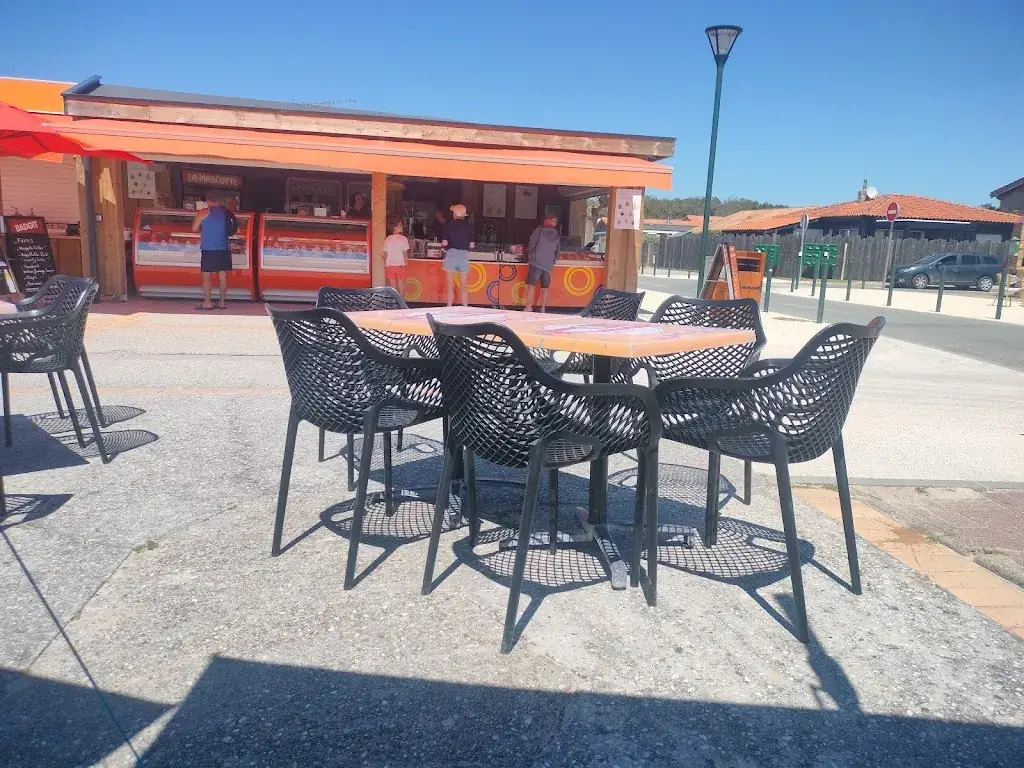 Venkatesan dhanasekaran_La Mascotte de l'Ocean_Carcans_review