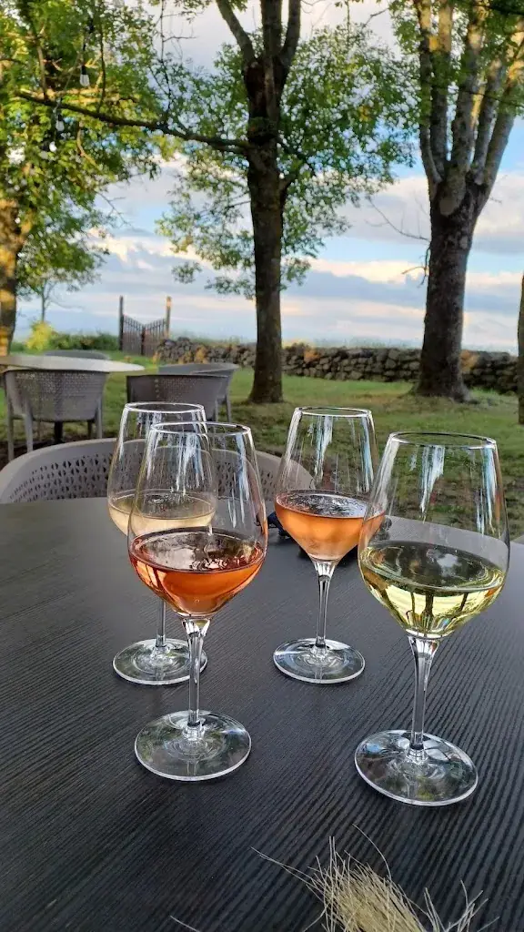 Menu_La Hutte Gauloise_Roche-Blanche_image_5