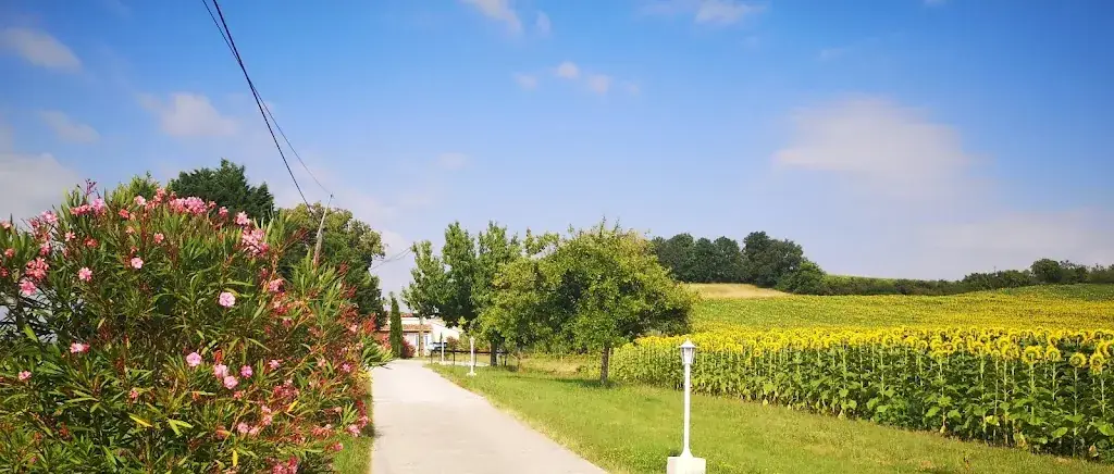 LA GRANGE AUX CRÊPES_Temple-sur-Lot_slider_image_3