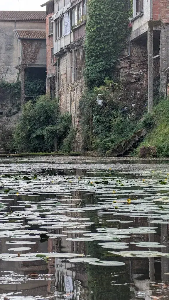 Lawrence Ryan_C'Lot Centre Nautique de Casseneuil_Casseneuil_review