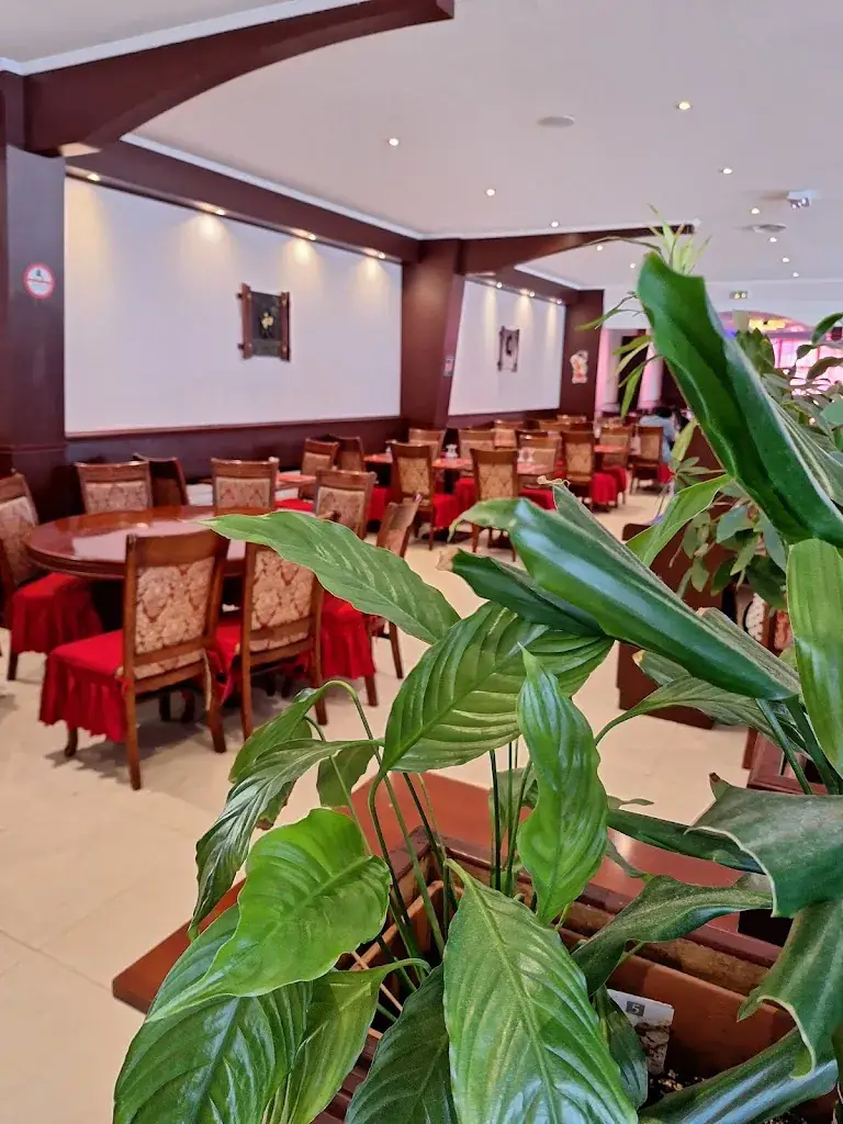 Palais De Bias_Bias_slider_image_3