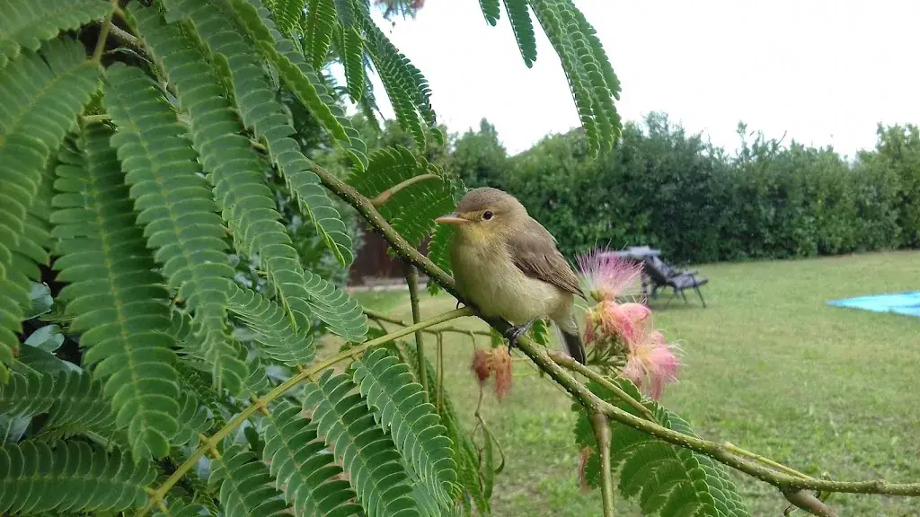 Salle la Roseraie, traiteur Fruh_Sainte-Livrade-sur-Lot_slider_image_1