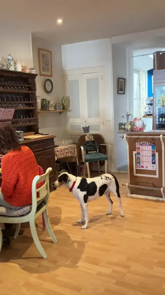 Usually Bubble_Thé Amo_Castillonnès_review