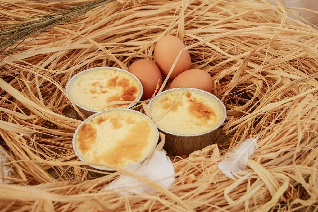 Menu_la ferme d'Illats_Cérons_image_8