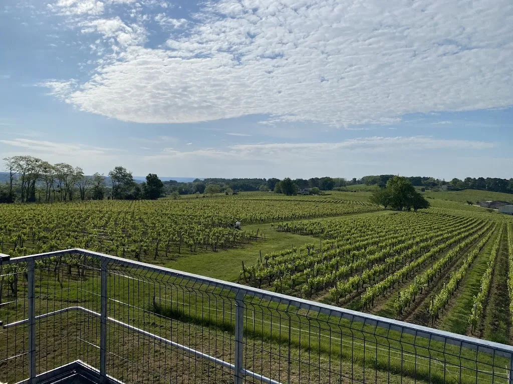 Stephen Snider_Le Coteau Des Sens_Belvès-de-Castillon_review