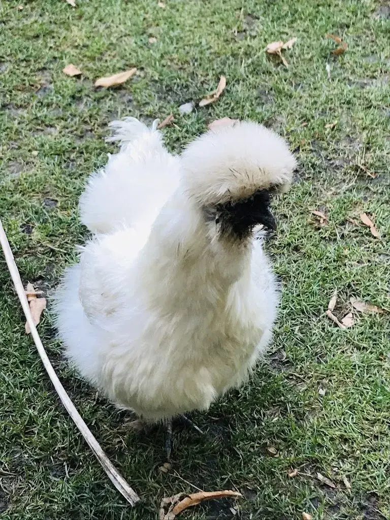 Grace Lee_Maison Fantin Latour - Stéphane Froidevaux_Grenoble_recensione