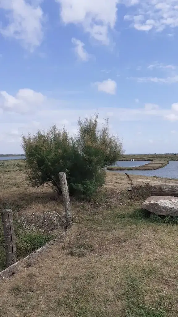 Cabane de dégustation Le Q Salé_Chaillevette_slider_image_2