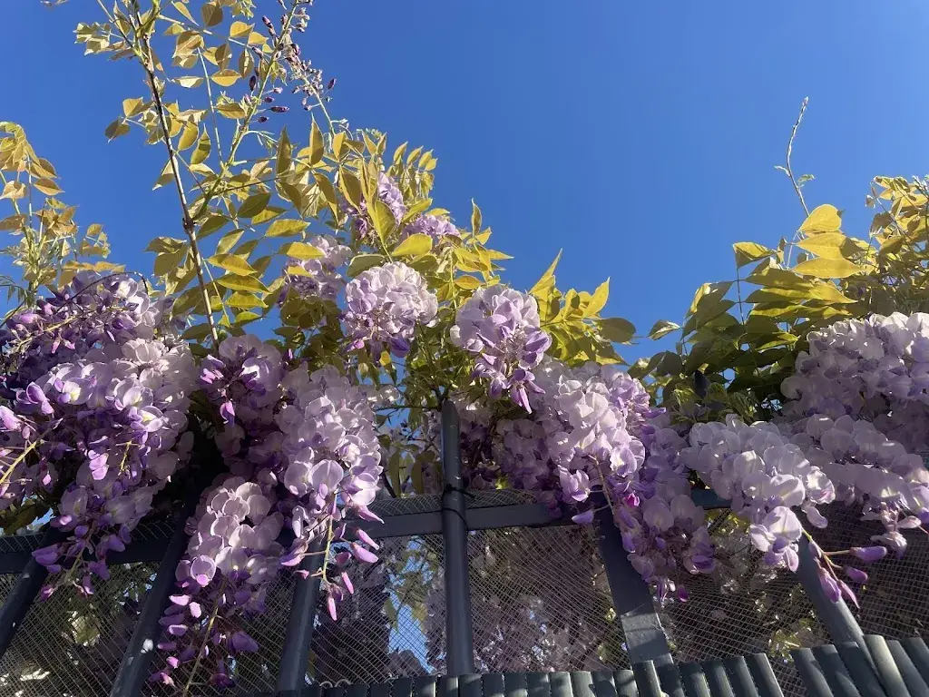 Fiona Devine_Bar Le Paradis_Champdeniers_review