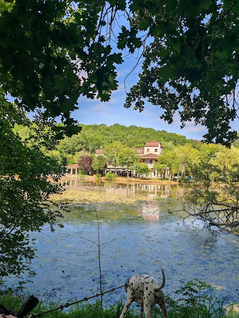 Frank Weierhorst_Hôtel Restaurant l'Etang des Reynats_Chancelade_review