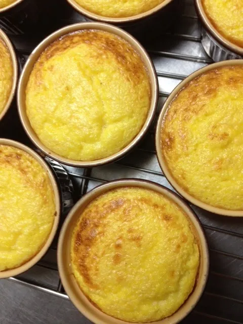 Menu_Domaine du Moulin de Lachaud_Sainte-Fortunade_image_9