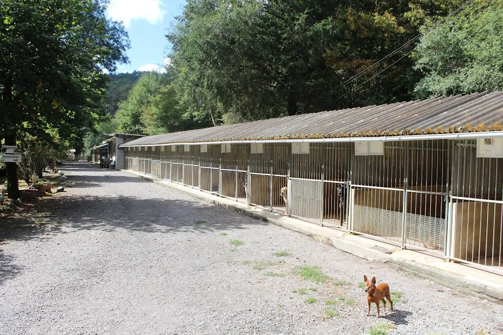 La Société Protectrice des Animaux  - Refuge de Chameyrat_Chameyrat_slider_image_3