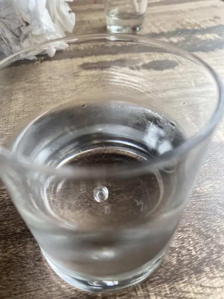 alexandre hugue_Chez Diego_Tulle_review