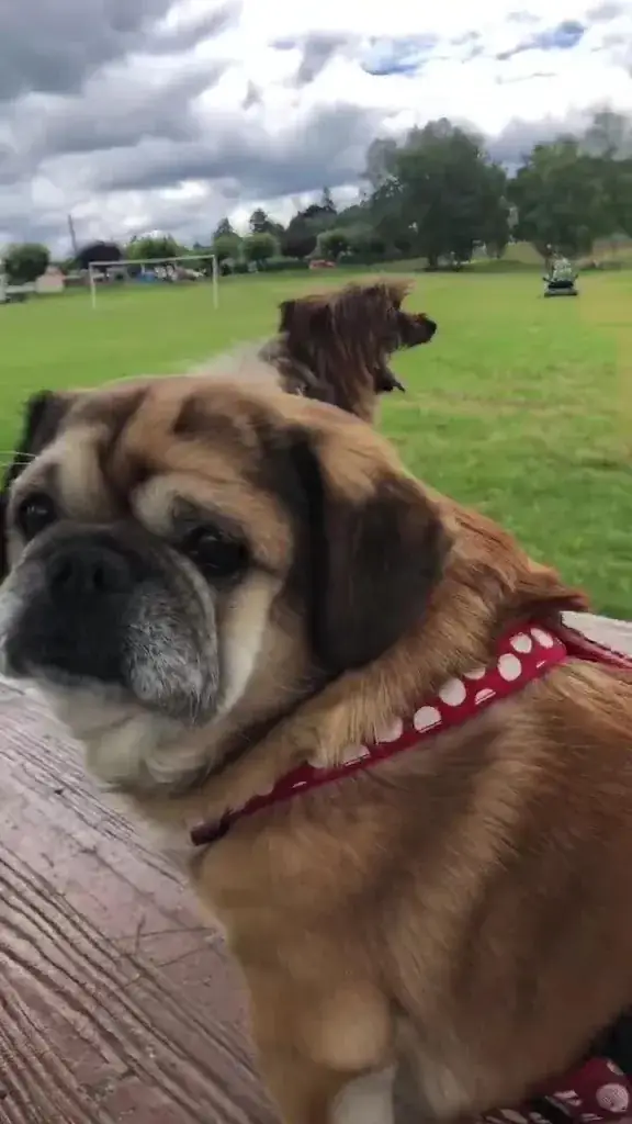 Chateauneuf la forêt_Châteauneuf-la-Forêt_slider_image_3