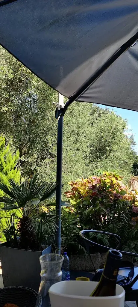 Lesley O'Rourke_Le Mas Charentais_Mosnac-Saint-Simeux_review