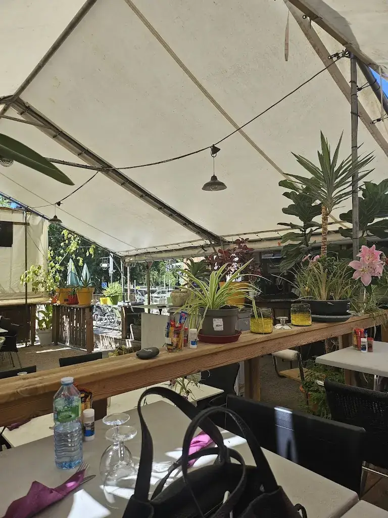 dans le jardin je suis bien_La Cabana_Dompierre-sur-Charente_review