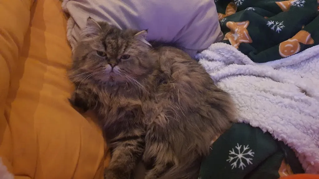 Marie-Laure Staudt Coach2vie & Superviseur Reiki_Restaurant Le Thouaret_Chiché_review