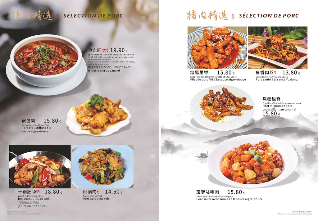 Menu_Lion et Poisson 老味道_Grenoble_image_2