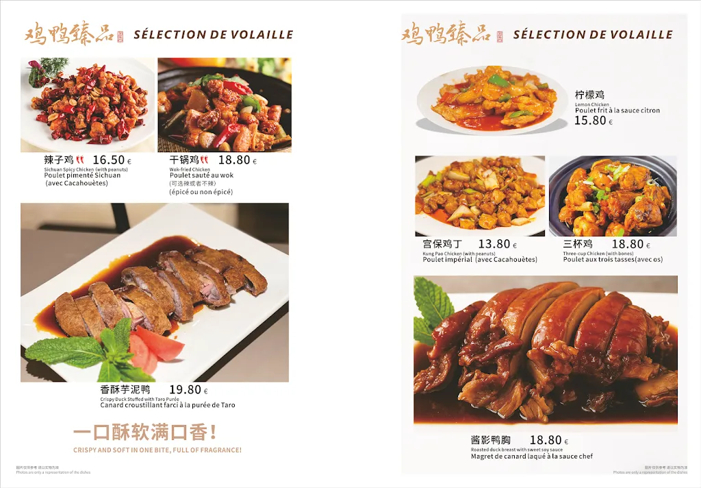 Menu_Lion et Poisson 老味道_Grenoble_image_4