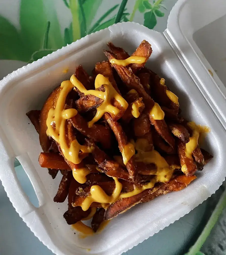 Alicia Herault_Au coup de food ( burger gourmet, tacos & kebab )_Châtellerault_review