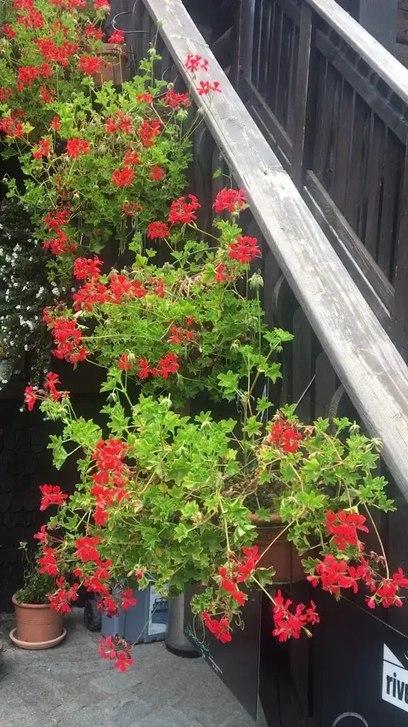 Auberge - Refuge La Vouivre_Vouvry_slider_image_2