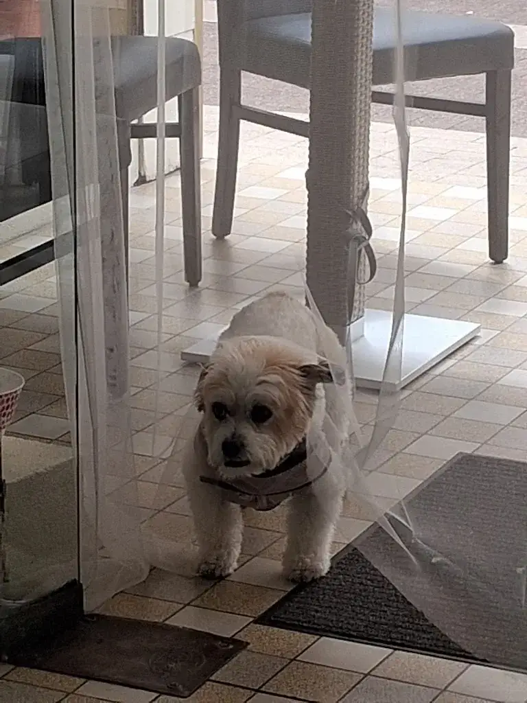 Natalie Lynch_Crafty Café_Civray_review