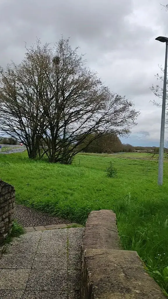 Andrzej_Aire de Coulombiers Sud_Coulombiers_review