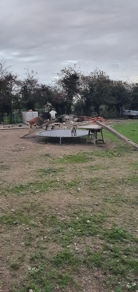 Guillaume Wolff_Resto Dé Fréro_Laigne_recensione