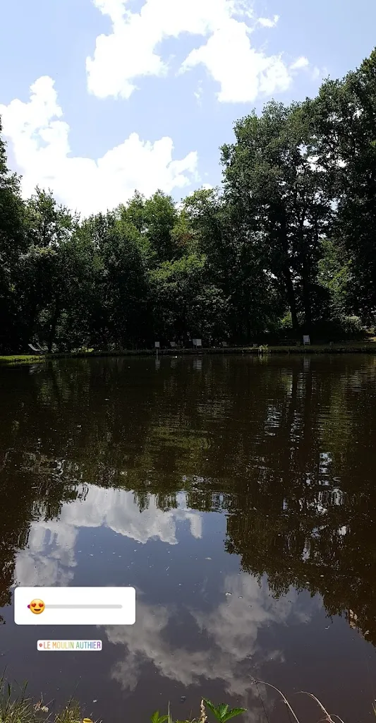 Sheena Pearson_Domaine du Moulin Authier_Coussac-Bonneval_review