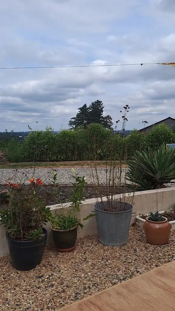 Cafe Nicki_Coussac-Bonneval_slider_image_2