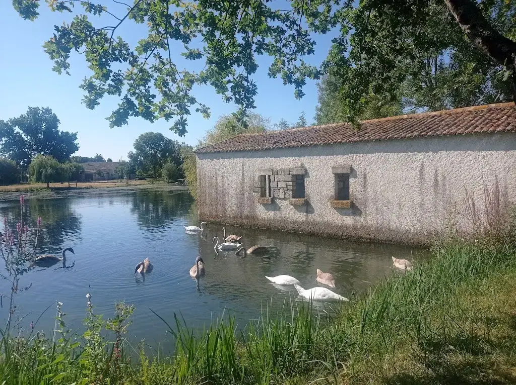 Le Cheun A Quais_Chenac-Saint-Seurin-d'Uzet_slider_image_3