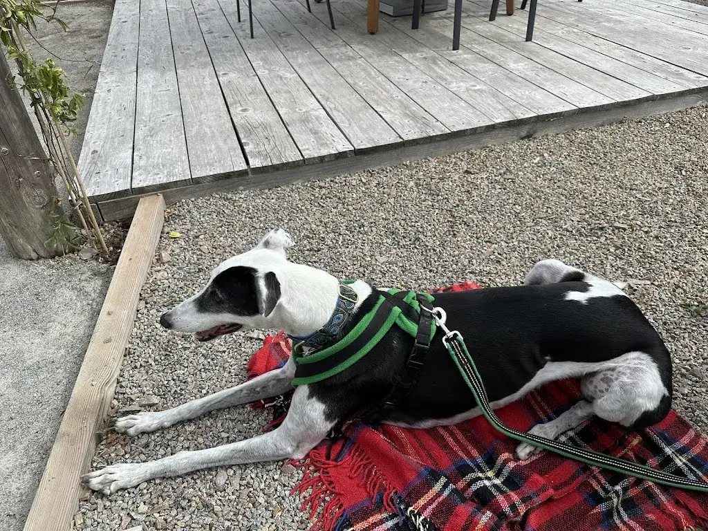 Susie Goss_La Jolie Guinguette_Chapelle-Montbrandeix_review