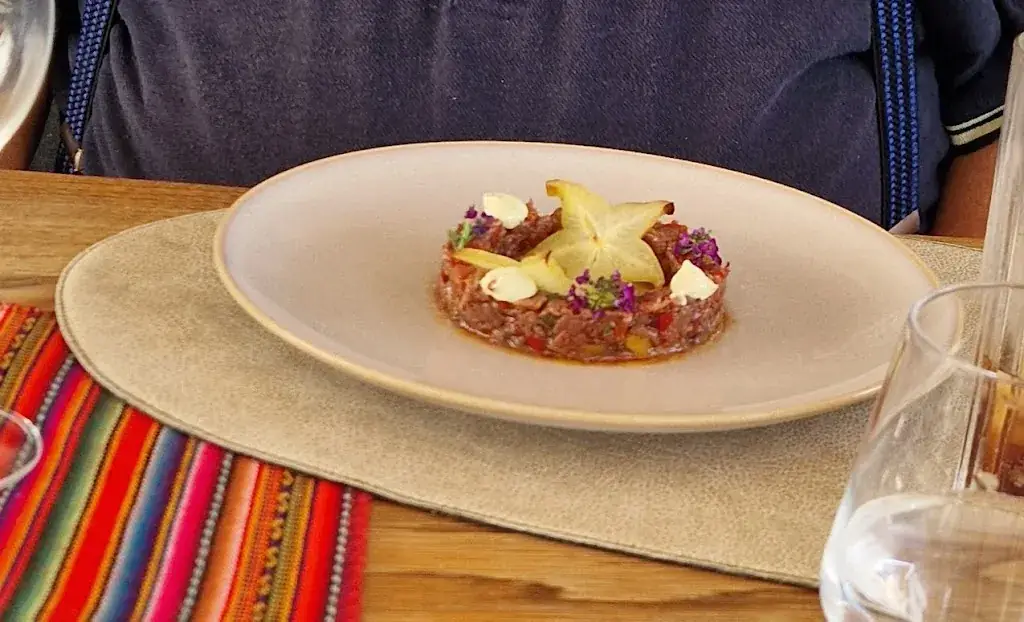 Hondencentrum de TOPhond_Casa de Campo_Dirac_review