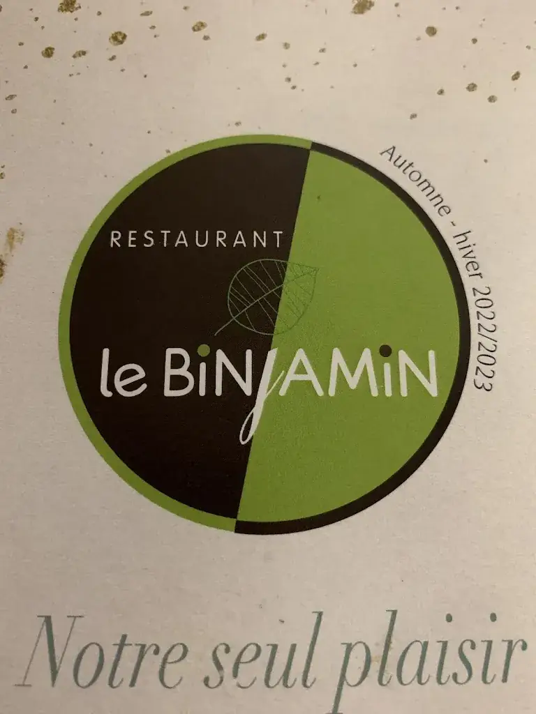 Emma Voysey_Restaurant Le Binjamin_Dissay_review