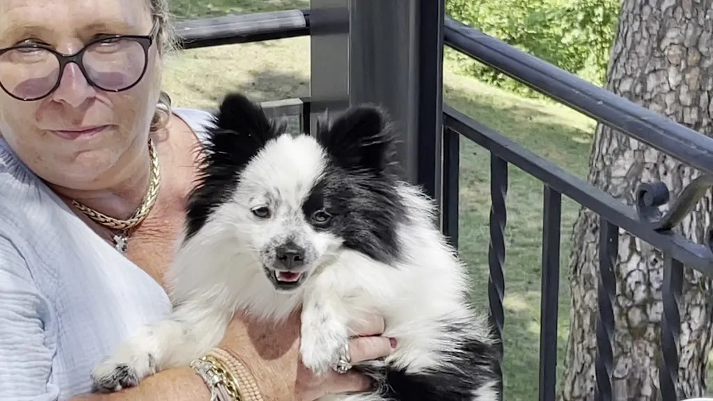 Restaurant @ Restaurant Le Meysset_Sarlat-la-Canéda_slider_image_2